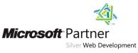 Microsoft Partner im Bereich Web Development